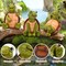 Summer Resin Turtle Statues for Garden Decor - Cute Outdoor & Indoor Mini Turtles